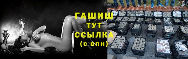 хмурый Аркадак