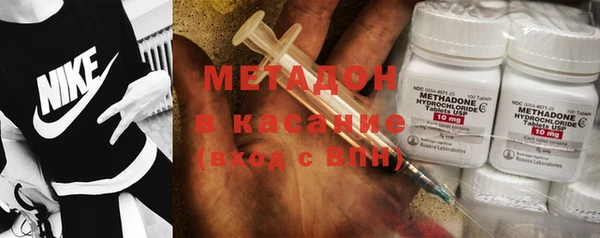 хмурый Аркадак