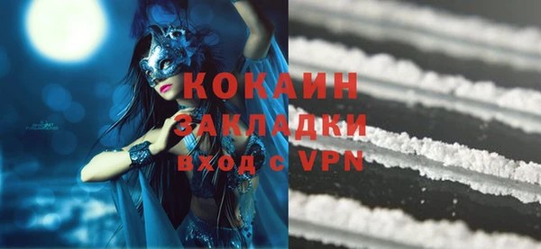 крисы Коряжма