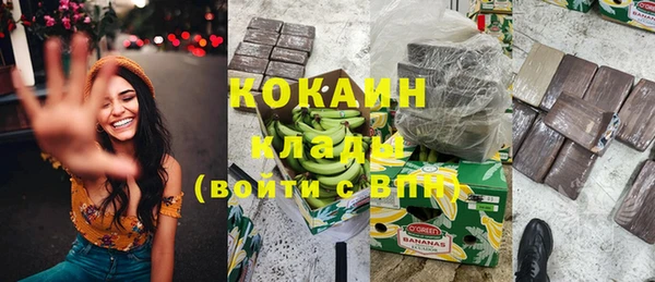 хмурый Аркадак