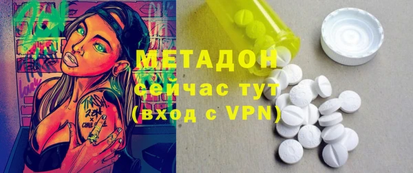 хмурый Аркадак