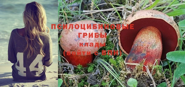 ешки Армянск