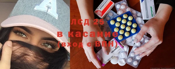 хмурый Аркадак
