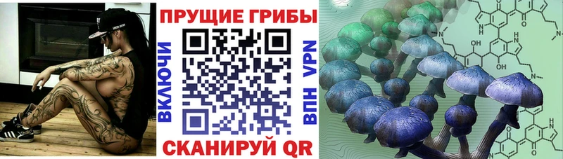Галлюциногенные грибы ЛСД Карабаш