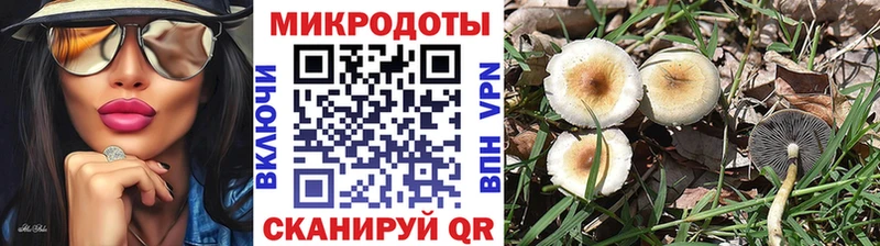 Галлюциногенные грибы Psilocybine cubensis Карабаш